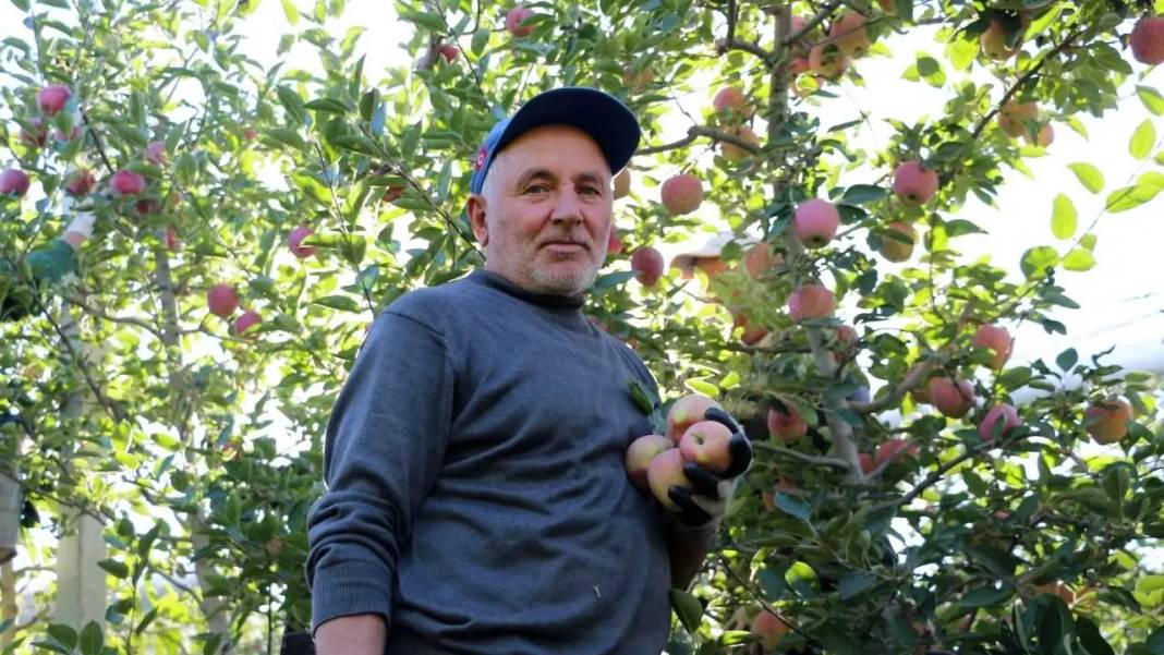 Isparta’da Don ve Kuraklık Gölgesinde Elma Hasadı! Rekoltede Ciddi Düşüş 4